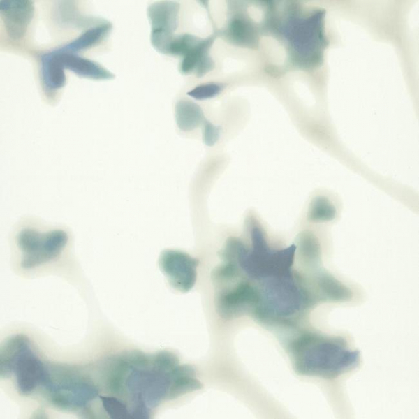 Обои Candice Olson Terrain COD0555